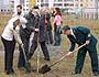 Улицы и дворы станут зеленее